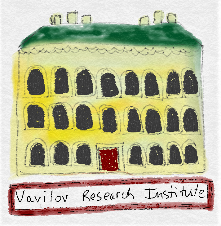 Vavilov Research Institute drawing